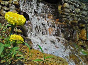 19399241_206145943242115_1403620687766459484_n